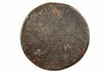 Stony Chondrite Cabochon ( grams) - Meteorite #238203-1